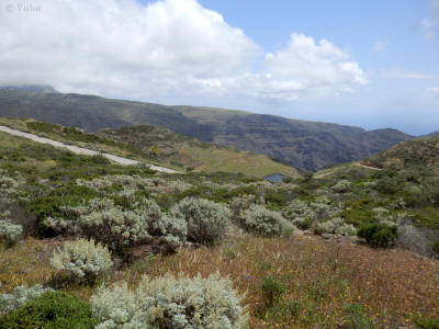 la-gomera-0030y-jizni-svahy