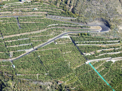 la-palma-0271y-bananove-plantaze