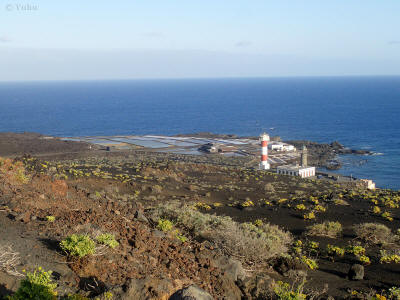 la-palma-0462-odsolovacka