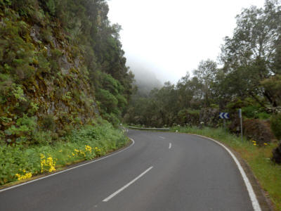 prales-el-hierro-0980y-silnice