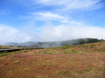 el-hierro-0928y
