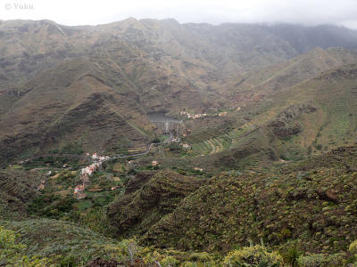 kanary-0145-prehrada