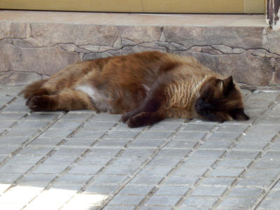 kocka-la-gomera-0076y