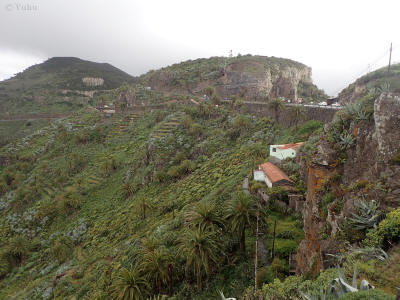 la-gomera-0034