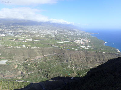 la-palma-0388-los-lannos
