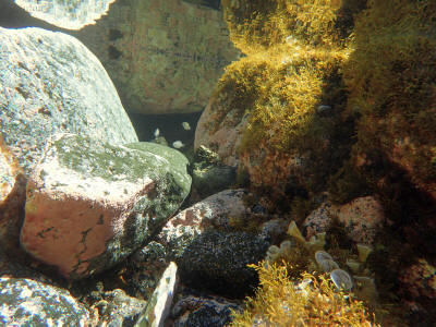 more-el-hierro-0780