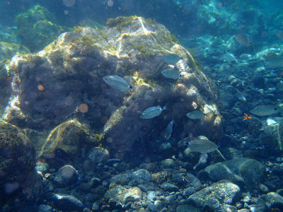 more-el-hierro-0848