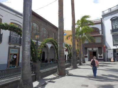 palmy-santa-cruz-de-la-palma-0327y